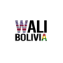 DISEÑOS EXCLUSIVOS DE WALI BOLIVIA