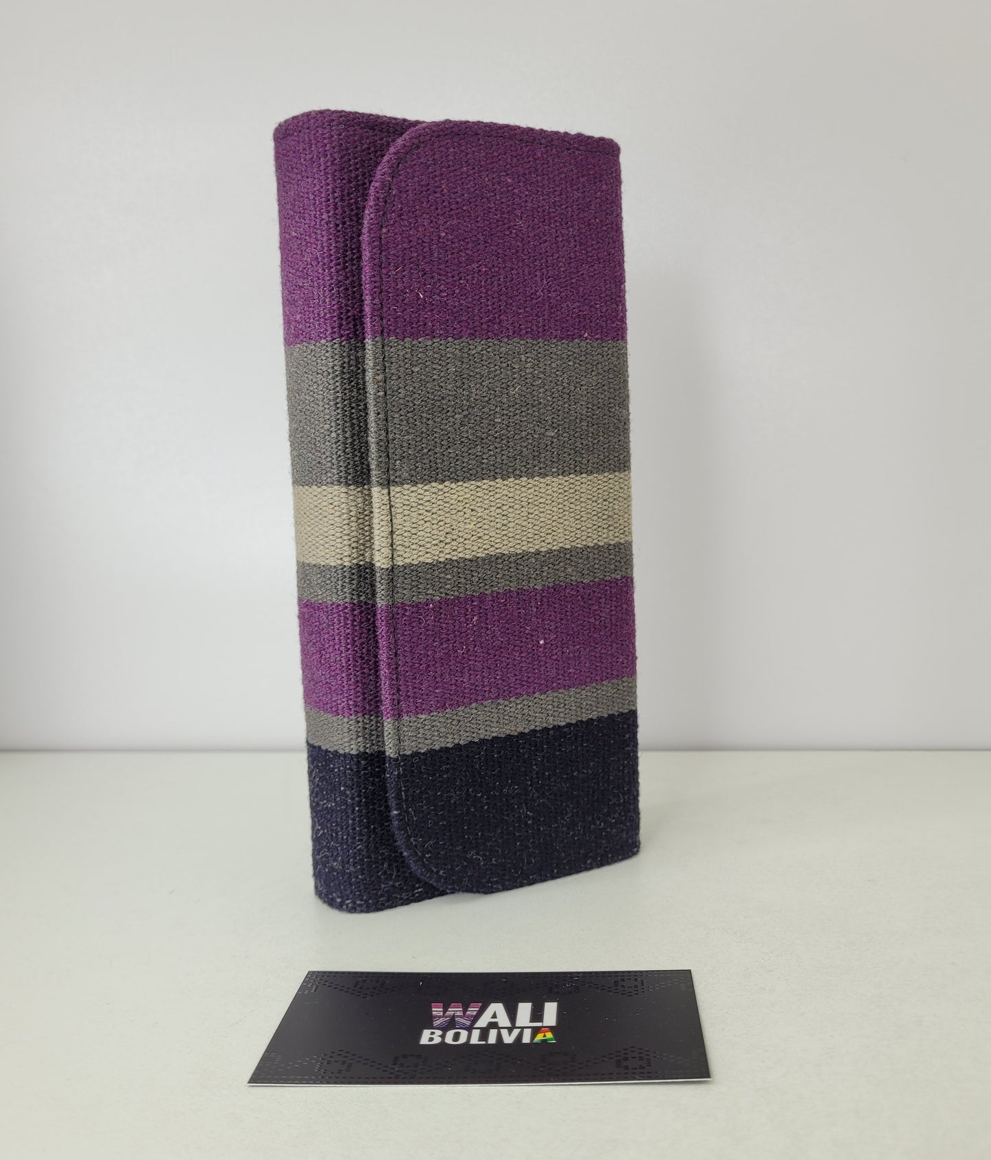 JUEGO DE MOCHILA CHICA ( api )