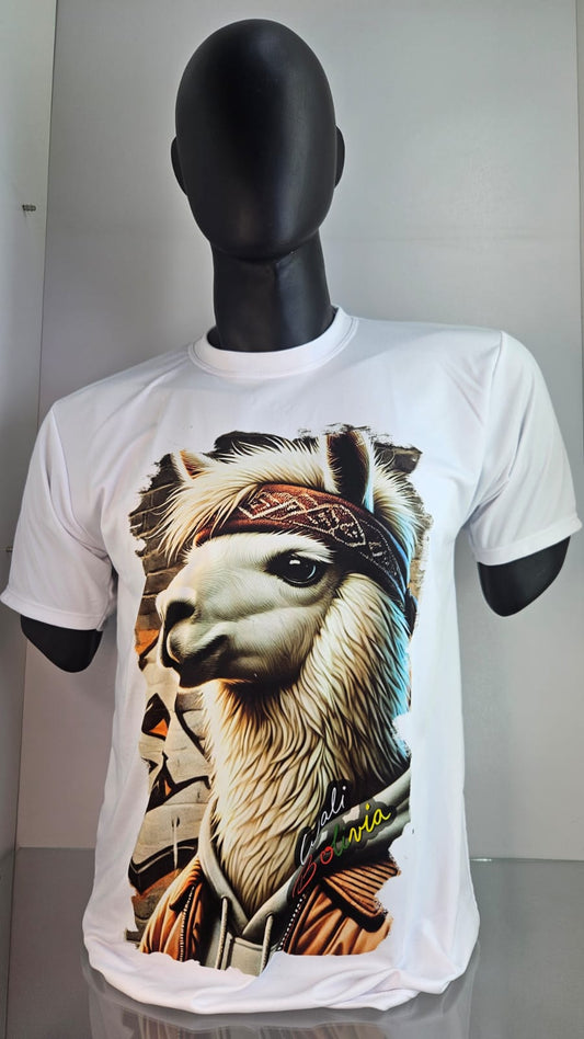 Polera Clasica (aventurera L)