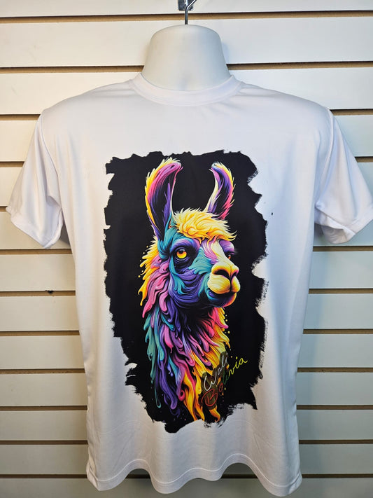 Polera Clasica (llamita arcoiris M)