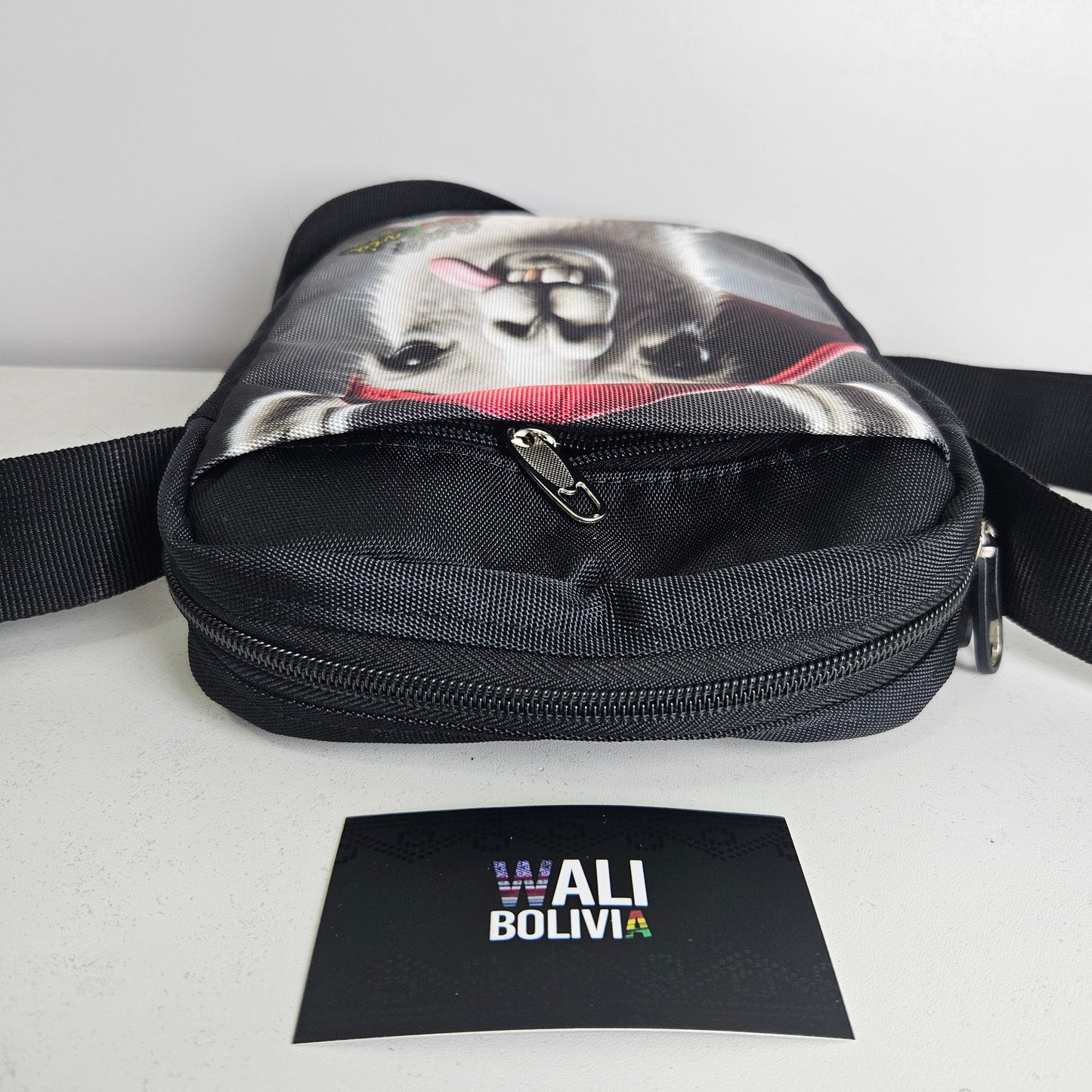 Morral Pequeño urbano (lengua suelta 2)