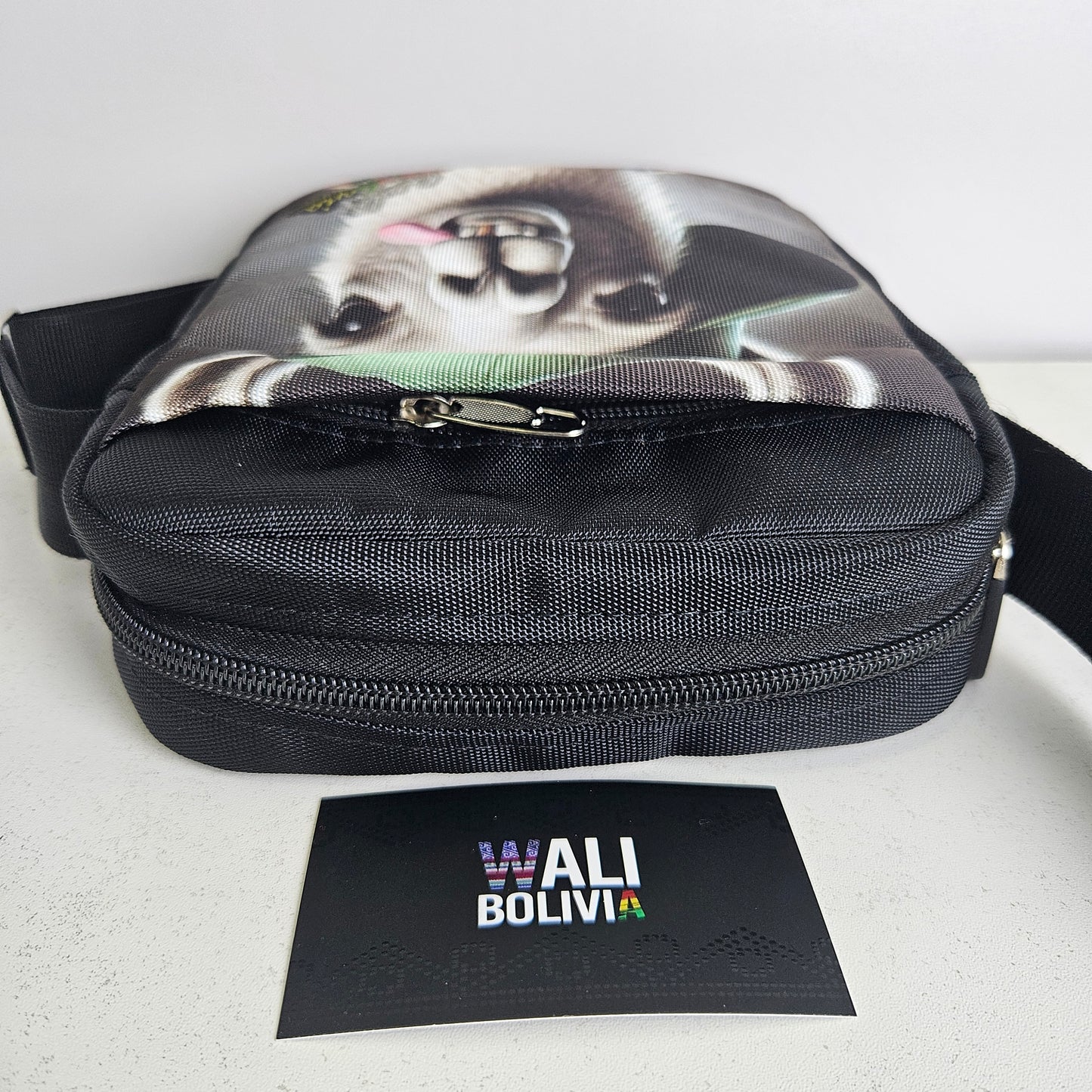 Morral pqueño urbano (llamita lengua suelta)